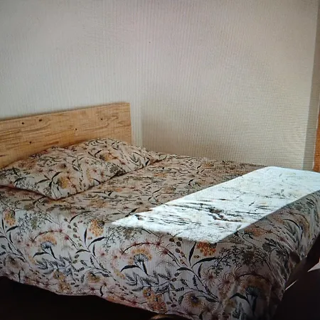 Chalet Paltin Διαμέρισμα